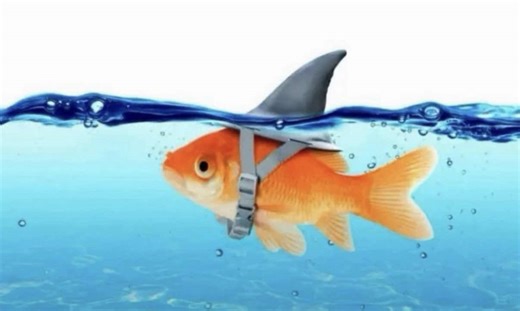 #redhair #moots? #alt #alexg #outfit | Red Hair