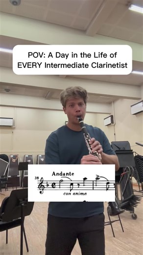 A day in the life of EVERY intermediate clarinetist | Weber Concertino Thema