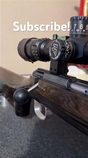 Custom benchrest rifle. #22longrifle