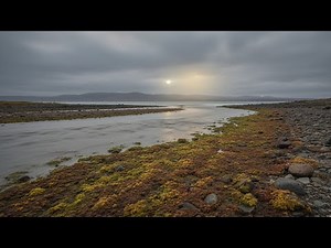 Extraterrestrial biospheres | the kind of alien life we could expect to find