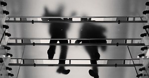 Five Ways Men Can Improve Gender Diversity at Work