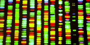 What is gene editing and how could it shape our future?