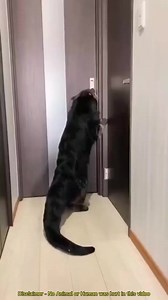 337K views · 8.3K reactions | This animal poops on enemies to stay safe #animals #nature #fyp #knowledge #cute | Earth Wonders | Facebook