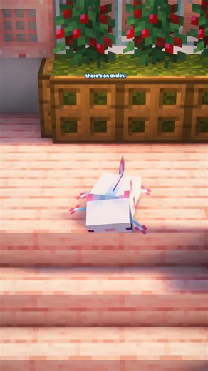 Ask an Axolotl full cover by Doctor Waffle — Minecraft animation song