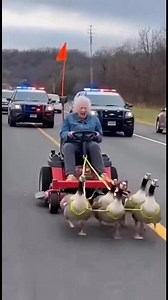 5.7M views · 55K reactions | Police units responded after an elderly...