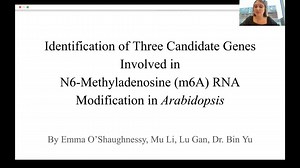 Identification of three candidate genes involved in N6-Methyladenosine (m6A) RNA modification in Arabidopsis