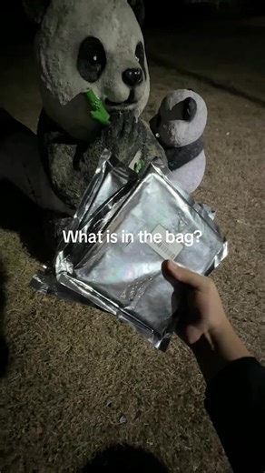 Authentic Dollar Bill Props for Creative Projects