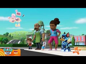 New PAW Patrol up Next Spot - November 2, 2023 (Nickelodeon U.S.)