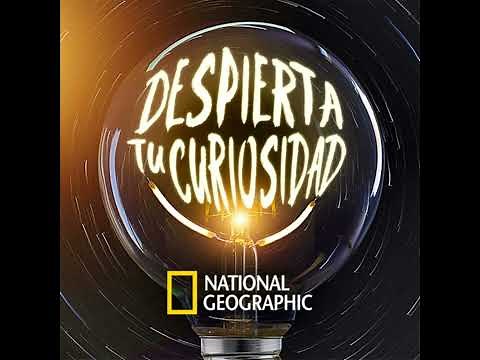 Cartago: la ciudad que desafió a Roma y fue borrada del mapa