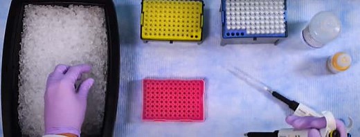 夢の時間短縮！Fastサイクルシーケンスをご存じですか？