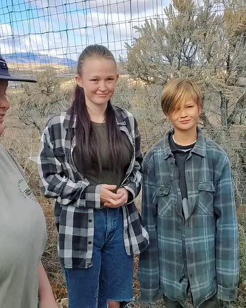 Firebox Stove on Reels