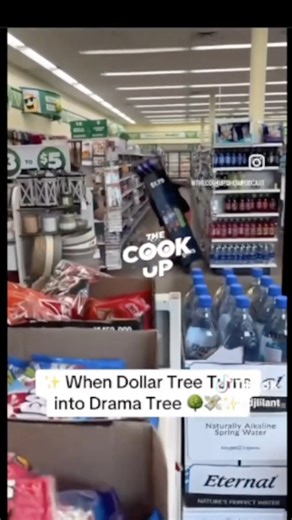 ‘ when dollar tree turns into drama tree’