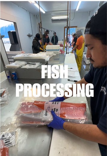 Fish Processing at Waterfall Resort: Behind the Scenes