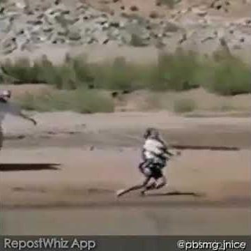 Wrecking Ball Parody