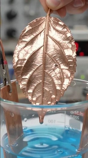 Electroforming a Leaf in Copper ⚡🍃 #trending #viral #shorts #electroforming