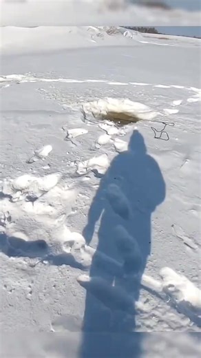 I set up a grabber and caught a lot of fish #fishing #biting #winter #spinning | Victoria Paris