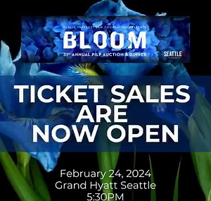 Seattle University School of Law on Reels