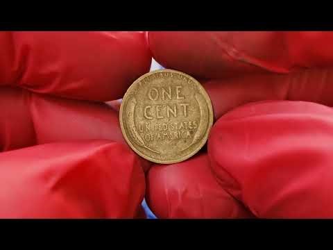 STOP! Don’t Spend That Penny — It Might Be Worth $300,000! Coin X USA