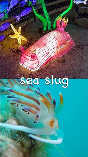 Learn Animal Names with Festive Lanterns for Kids: Bear Beetle Secretary Bird #HolidaysWithYouTube