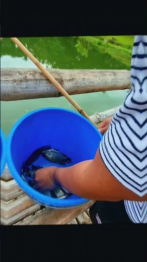 Dagat-Dagatan Camping & Fishing 🎣🏕️ | Peaceful Nature Escape in Tanay, Rizal