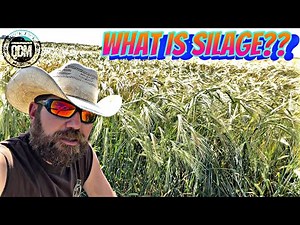What Is Silage?