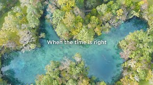 29K views · 592 reactions | When the time is right, we're here to welcome you back. | Discover Crystal River Florida | Facebook