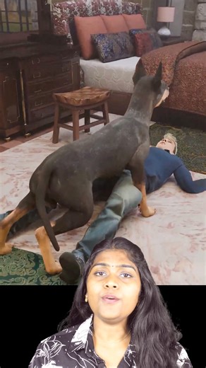 Wiki Vox Malayalam on Instagram: "നായ്ക്കൾ നഖം വെട്ടാൻ വെറുക്കുന്നത് എന്തുകൊണ്ട് 🐕"