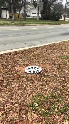 Toyota Corolla Hubcap Find