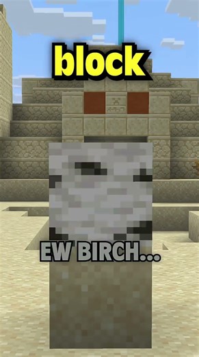 Minecraft Blue Ice Block 🧊 #shorts #minecraft