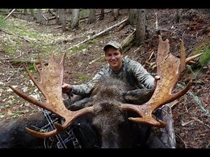 15 yr old Archery Moose Hunt Idaho - Stuck N The Rut