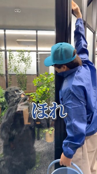 上司が戻ったら事務所が動物園になっていました…