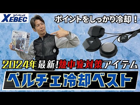 【大注目】ペルチェ冷却ベスト【熱中症対策】