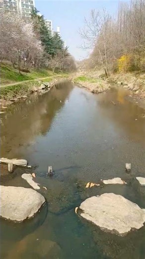 2026년 4월 4일 서창동에서 만수동 둘레길