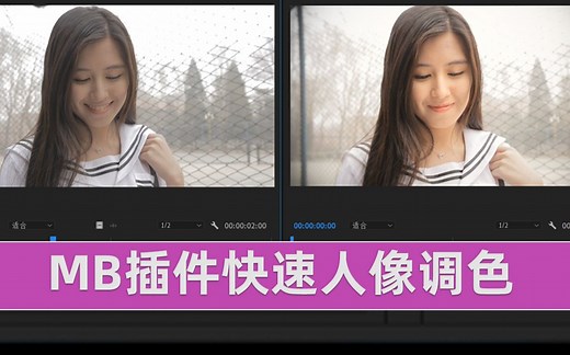 MB插件快速人像调色 PR人像调色 红巨星magic bullet