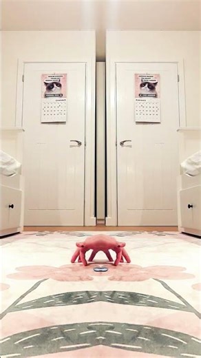 Petting zoo of anomalies!