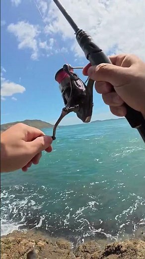 Unbelievable Day Fishing at Sea — So Many Fish, We Cooked Them Right There!