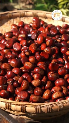 Crispy Chestnut Cake | Autumn Special Dessert Recipe 🍂 #cakerecipe #short