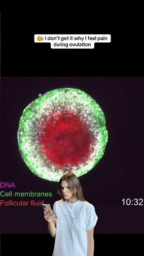 Here’s why you can feel pain during ovulation