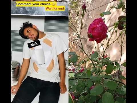 Indian family drinks 🥃 #shorts #shortsfeed #viral #comedy #funny #youtubeshorts #chaman #indian #yt