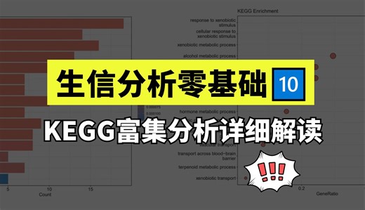 【生信自学系列10】保姆级教程❗手把手带你玩转KEGG富集分析