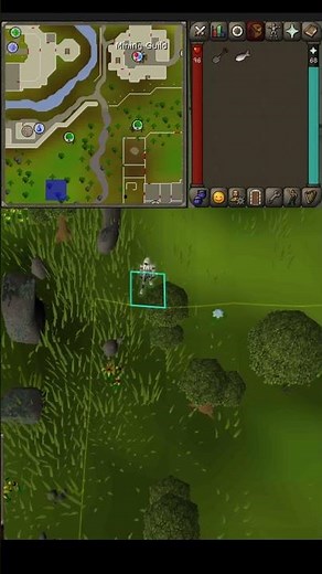 OSRS Ornate Armour Fashionscape (Quick Walkthrough)🔥