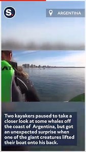 8.8M views · 2.4K reactions | A kayak experience they will never forget! | storyful | Facebook