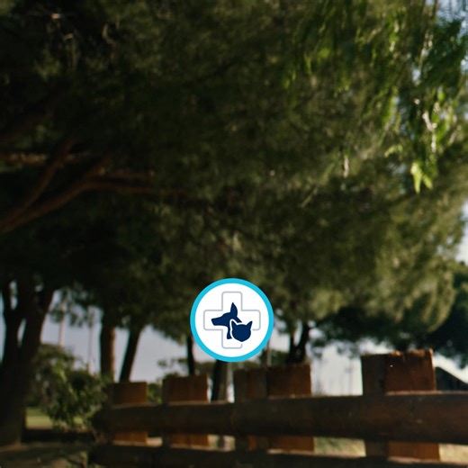 🐶 Ingrédients fonctionnels adaptés aux besoins spécifiques de votre chien | zooplus