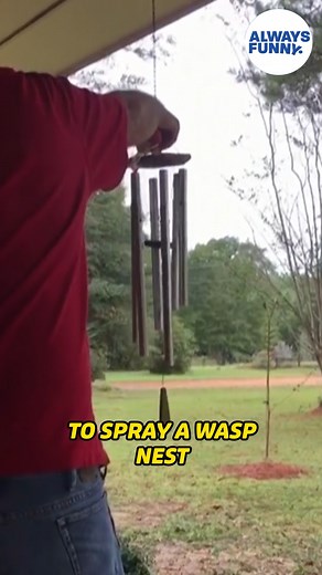 12K views · 28 reactions | Rule #1 of pest control: Wear a belt.  #alwaysfunny #fail #wasp #funnyvideos | Always Funny | Facebook