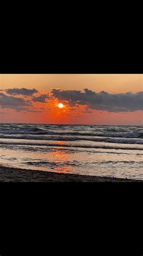 Ginger Love Story: A Journey of Relationship Joy