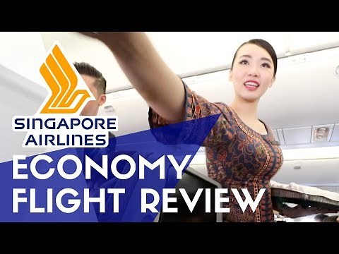 Singapore Airlines Economy Flight Review | Is it Worth It?