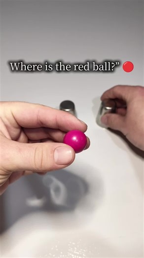 Where is the red ball? 🔴 #magic #comedy #fyp | magic tricks