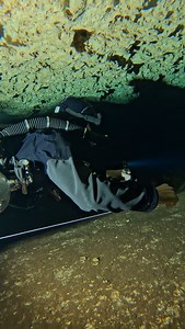 4.3K views · 1.9K reactions | Never swim fast into a cave  One can...