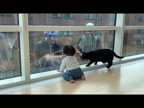 愛猫ギネスと窓拭きおじさん⑥③