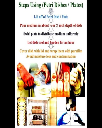 Steps and Precautions of Petri Dishes or Plates #geneticteacher